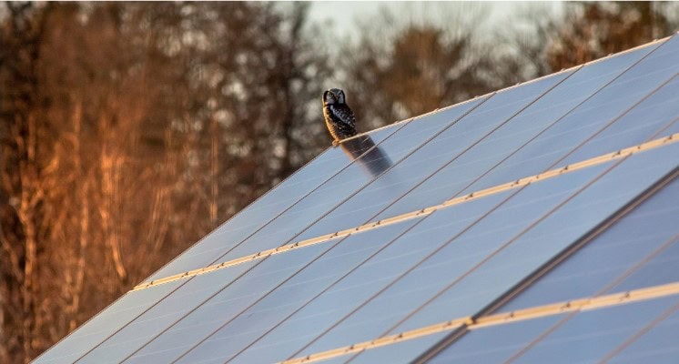 Aurinkopaneelien asennus mökille – ympäristöystävällinen ratkaisu